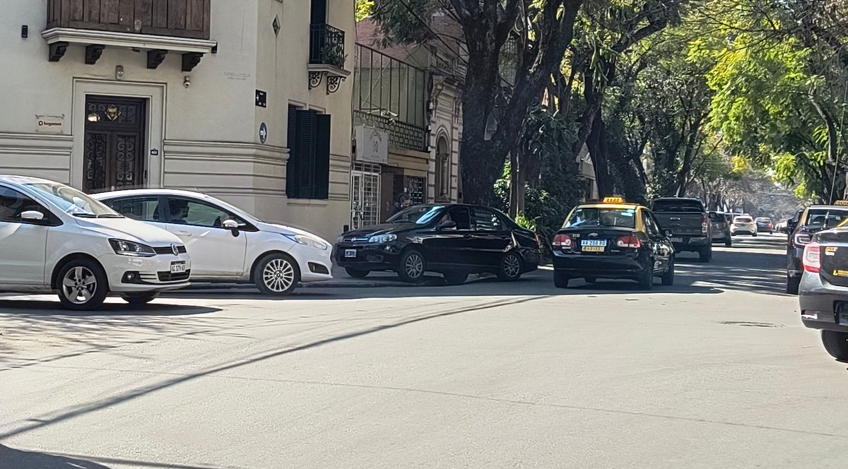 CalleDRosario tweet media