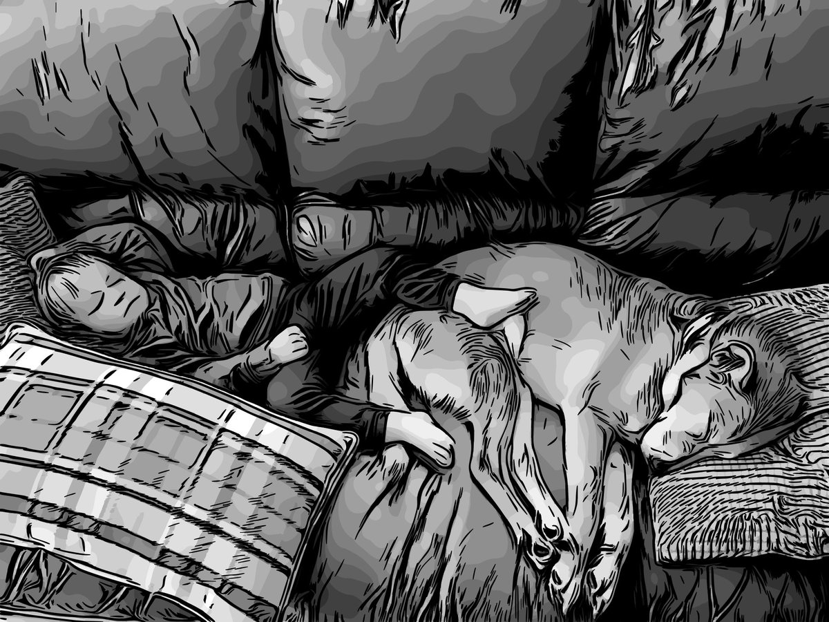 BigEyedFisch's tweet photo. Had to say goodbye to @heydixie today. 

Rest easy, sweet girl. https://t.co/wqxS8phNMs