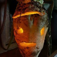 KerryHomeComingFestival tweet media