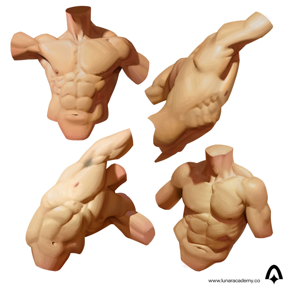 Time for a torso study warm up 🔥

As the body’s core, the torso supports movement and balance. 
Think about the structures of the skeleton and muscle groups.

Want to go further? Explore different angles, lighting, body types and skin tones!

Artist: Mattia Rangoni 🧑‍🎨