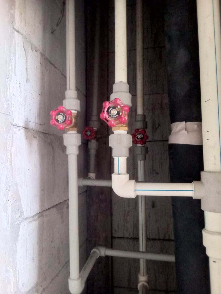 Tria St♦️ tweet media