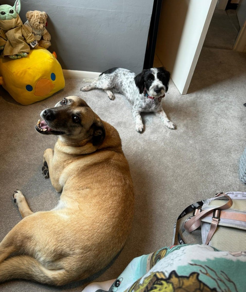 Game Till Five Podcast tweet media