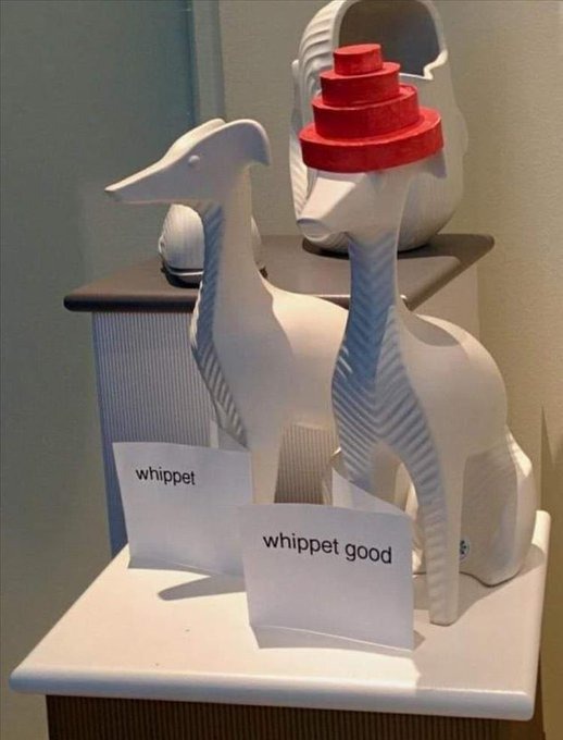 ThatEricAlper's tweet image. 