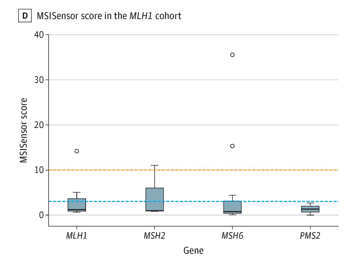 JAMA Oncology (@jamaonc) on Twitter photo The study results suggest that orthogonal MS testing is critical to identify MSI-H in PC and patients with MSI-H PC should be treated with immune checkpoint blockade therapy. ja.ma/4gbePuZ <a href="/CatherineaOC/">Catherine O’Connor</a> <a href="/EileenMOReilly/">Eileen M O’Reilly</a> The study results suggest that orthogonal MS testing is critical to identify MSI-H in PC and patients with MSI-H PC should be treated with immune checkpoint blockade therapy. ja.ma/4gbePuZ <a href="/CatherineaOC/">Catherine O’Connor</a> <a href="/EileenMOReilly/">Eileen M O’Reilly</a>