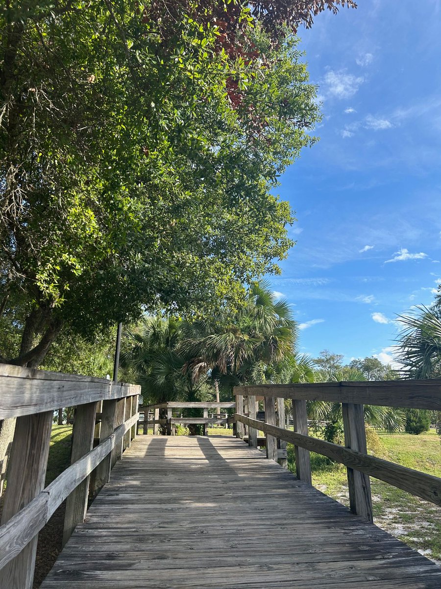 Looking for a nice place to stretch your legs and enjoy nature? Oaks by the Bay Park in Historic St. Andrews is home to dozens of beautiful oak trees and wooden boardwalks that lead down to St. Andrews Bay. Enjoy a relaxing walk under the oaks! 

#LovePC #KeeptStAndrewsSalty