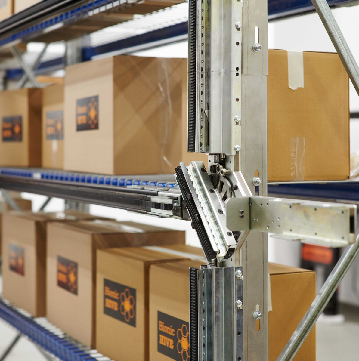 BionicHIVE tweet media