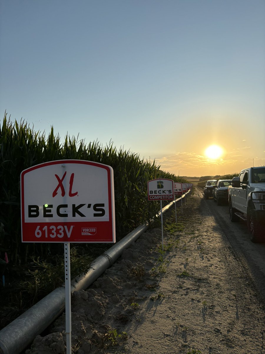 September things. <a href="/BecksHybrids/">Beck's Hybrids</a> <a href="/BecksAgNE/">Beck's Nebraska Agronomy</a>