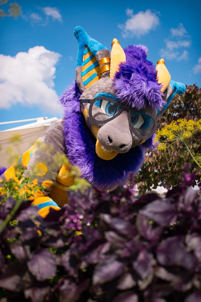 ArtemisDergon's tweet photo. Summer is over, but I don’t think I got the memo 🐉💐

📸 @hackoon 

#FursuitFriday https://t.co/F9SRmYFoRK