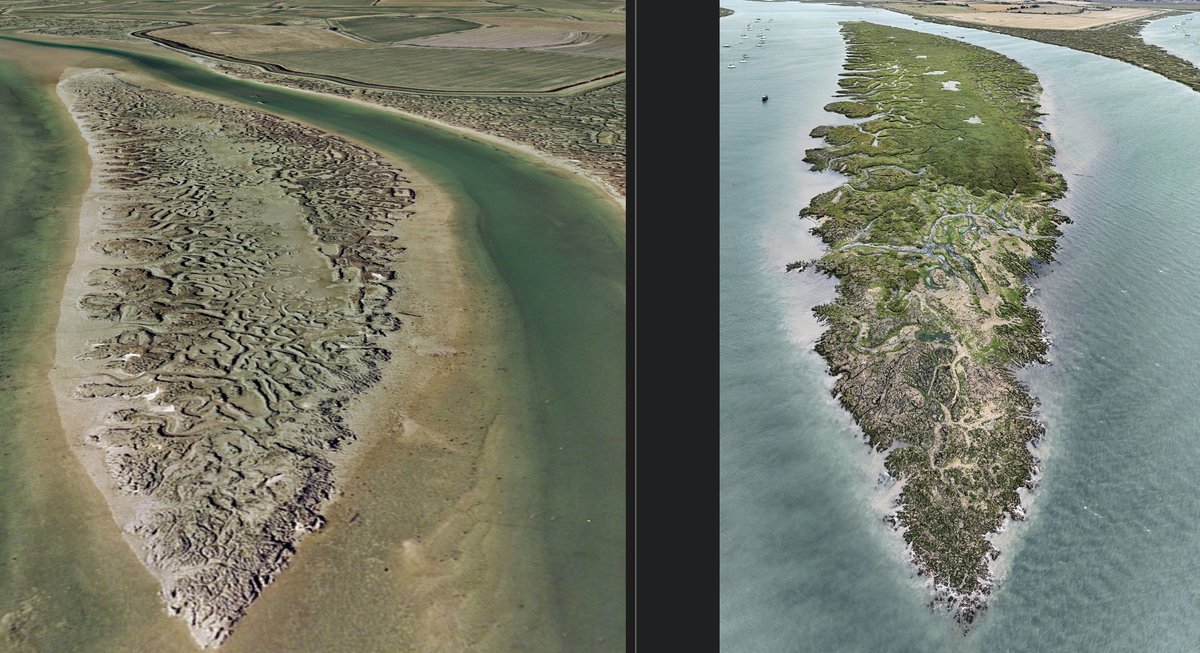 Jim Pullen tweet media