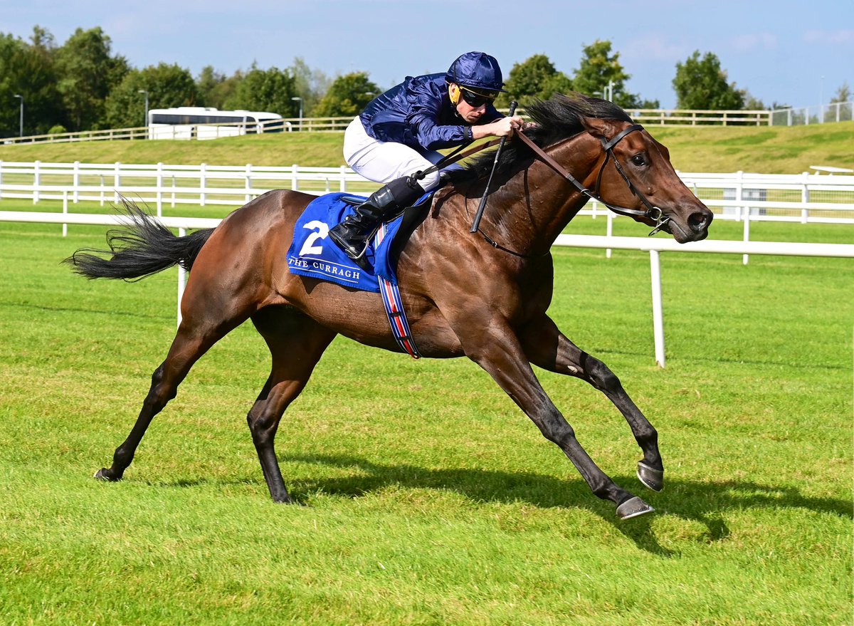 Weatherbys Limited (@weatherbysltd) on Twitter photo Looking forward to sponsoring the Weatherbys Scientific £300,000 2-Y-O Stakes <a href="/DoncasterRaces/">Doncaster Racecourse</a> next week - the 16th year of our support for this race.
Aidan O’Brien’s Group 3 winner Ides Of March (pic) and the Group 2-placed Camille Pissarro are among the 28 juveniles to stand Looking forward to sponsoring the Weatherbys Scientific £300,000 2-Y-O Stakes <a href="/DoncasterRaces/">Doncaster Racecourse</a> next week - the 16th year of our support for this race.
Aidan O’Brien’s Group 3 winner Ides Of March (pic) and the Group 2-placed Camille Pissarro are among the 28 juveniles to stand