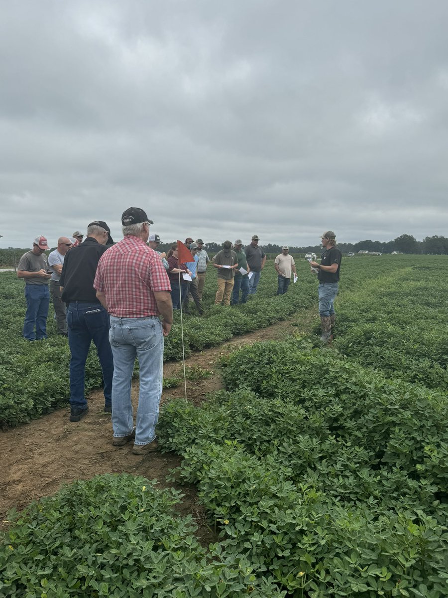 Even with the chance of rain, we had a great turnout at the peanut cotton grower meeting hosted by Heath Steede in George Co.