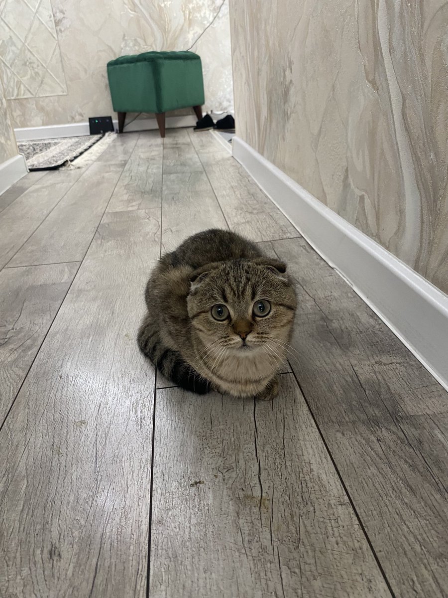 Наша Молли такая сладкая!ну не могу!😭🥰🥰