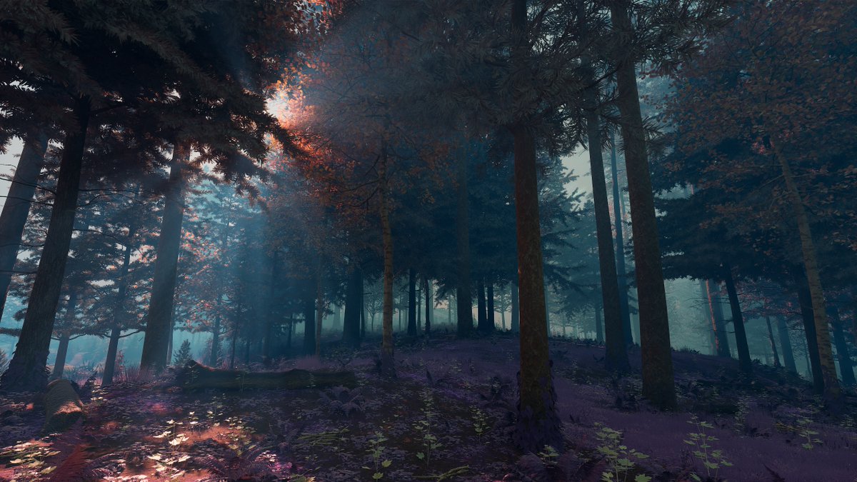 Forests get a glow-up in <a href="/playNightingale/">Nightingale</a>'s Realms Rebuilt update coming September 12, 2024! The Swamps and Deserts will also be getting a facelift😉