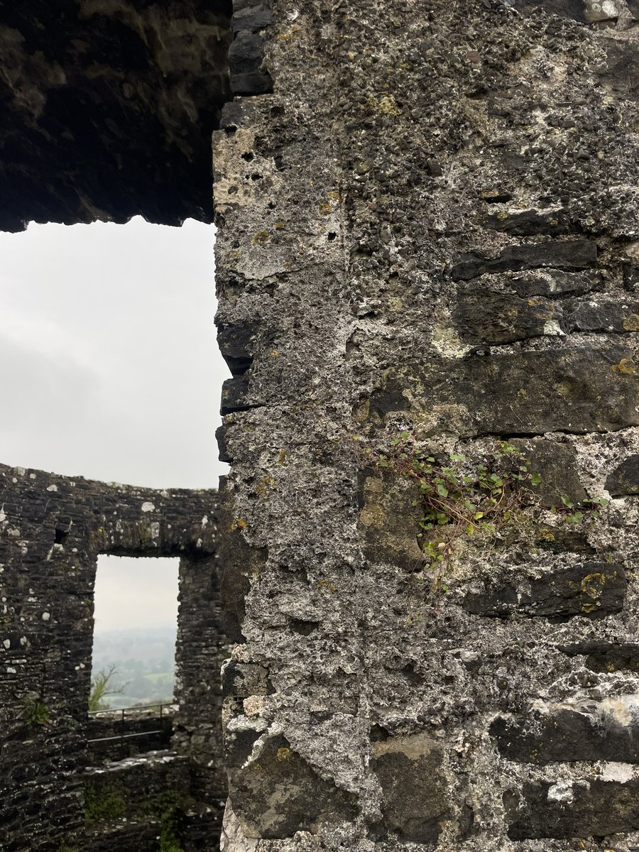 jonesandfraser tweet media