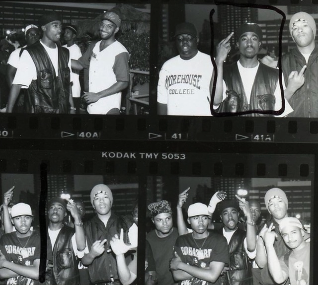 ネコ型 tweet media