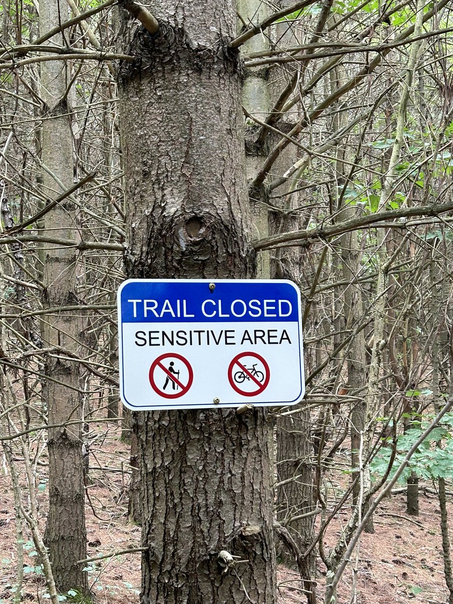 Pretty River Valley Provincial Park tweet media