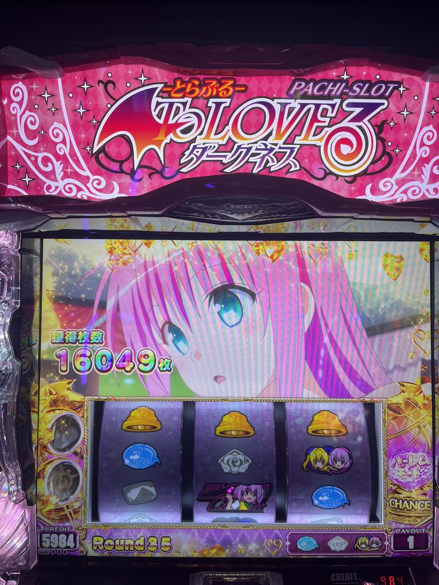 ハルワレ【ゴキブリふぁん】 tweet media
