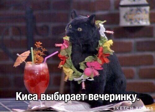 Пятница, мои чуваки.
Рабочий класс идет в клуб.