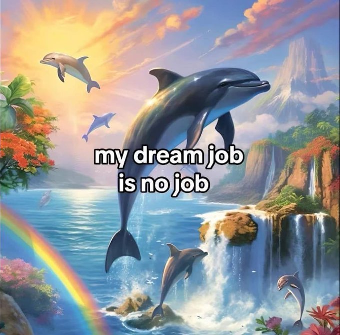 Quesitou Panela’s pics and videos