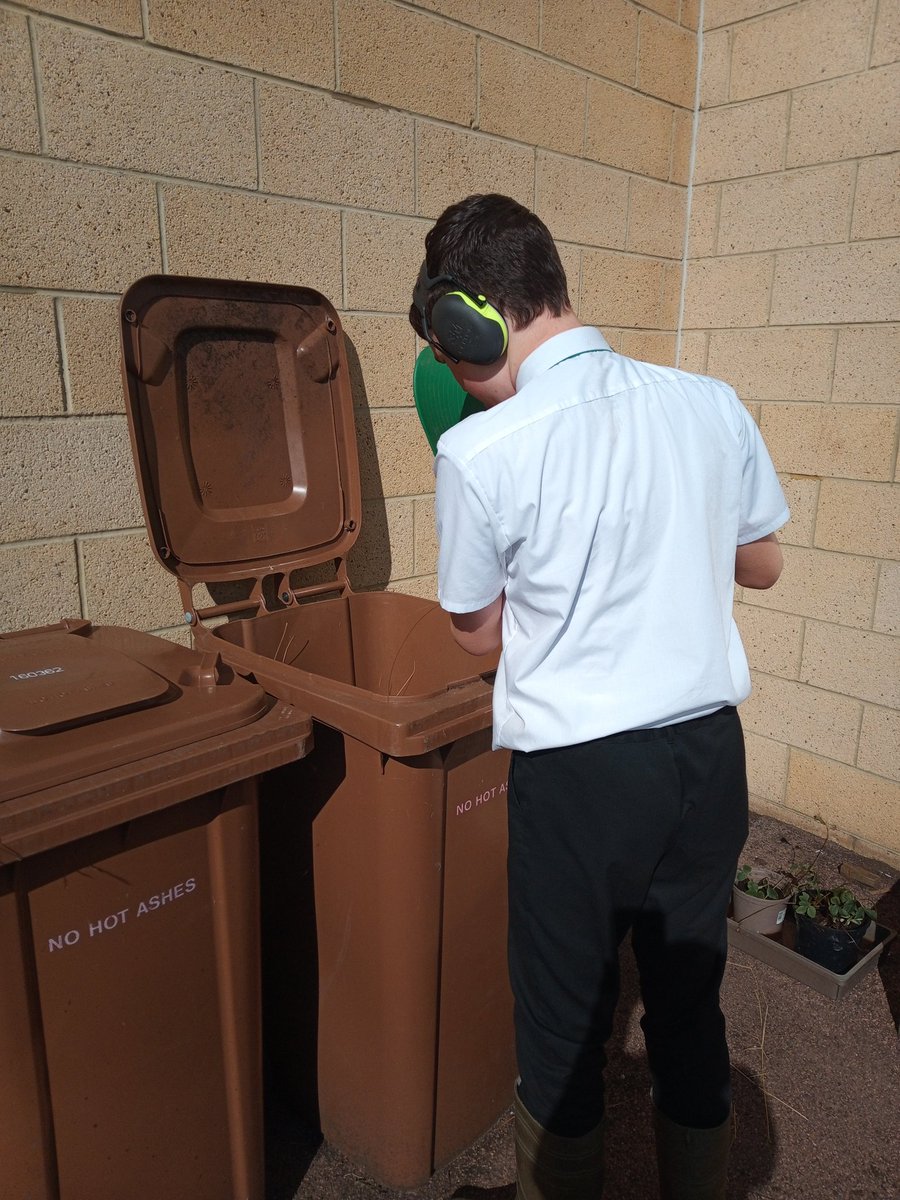 Sunny afternoon tidying up, picked tomatoes and cleaned pots. Garlic looking good.