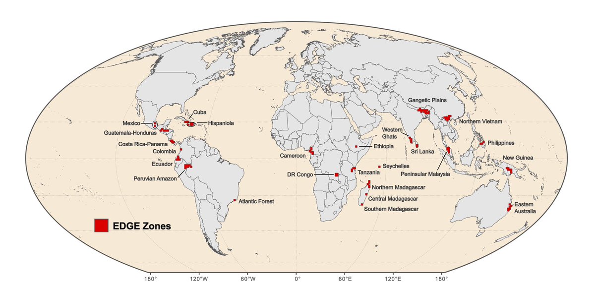 Seb Pipins (@pipinsseb) on Twitter photo New article just published revealing patterns of the world’s most Evolutionarily Distinct and Globally Endangered tetrapod species. 🐸🦚🐊🦥
1/3rd are housed within just 0.7% of the world’s land surface, with half found nowhere else.
<a href="/NatureComms/">Nature Communications</a>
rdcu.be/dS6nE
1/3 New article just published revealing patterns of the world’s most Evolutionarily Distinct and Globally Endangered tetrapod species. 🐸🦚🐊🦥
1/3rd are housed within just 0.7% of the world’s land surface, with half found nowhere else.
<a href="/NatureComms/">Nature Communications</a>
rdcu.be/dS6nE
1/3