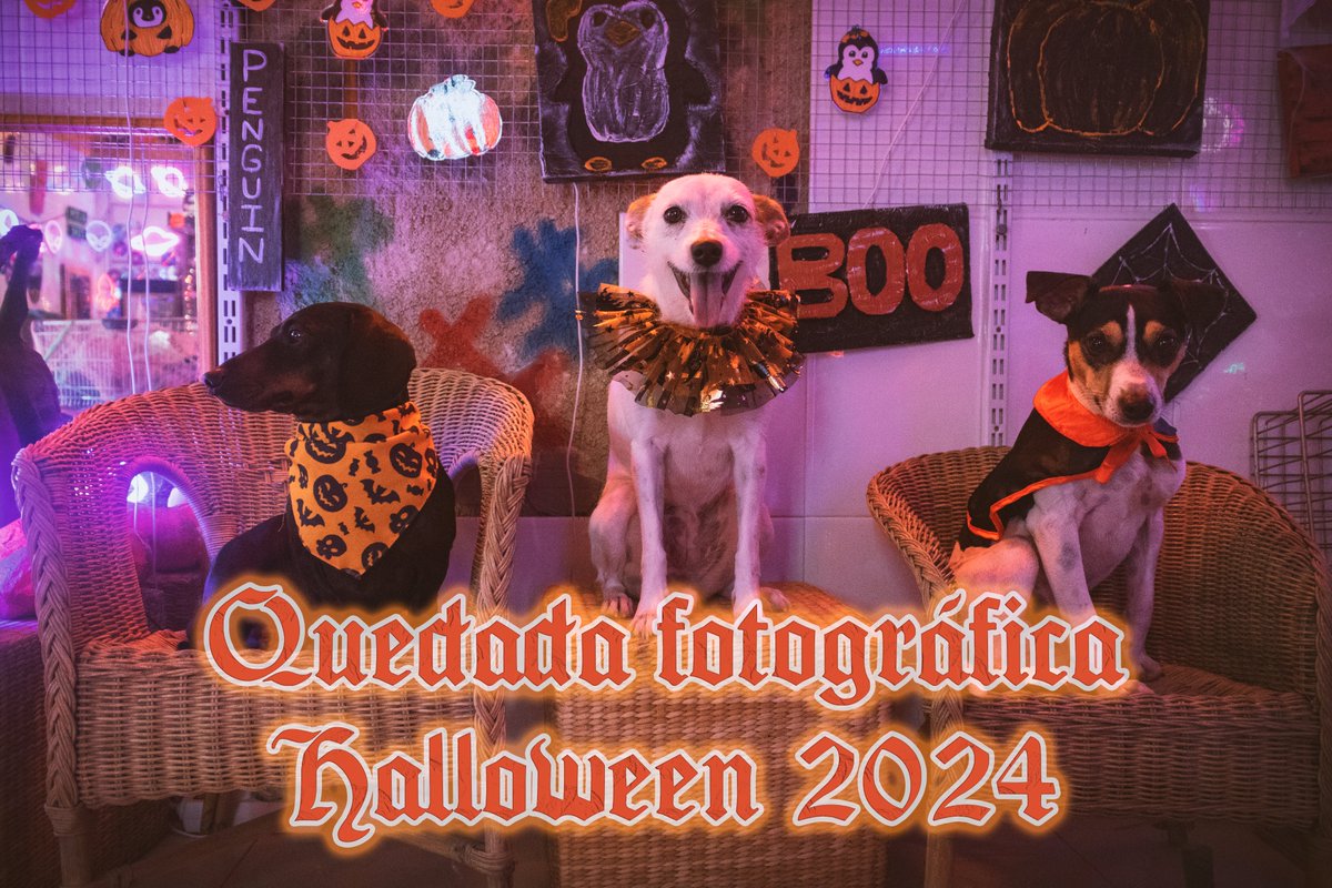 pekkustudio's tweet photo. Quedada fotográfica Halloween 2024
✶Localización -- Pekku Studio. Calle Clara Campoamor, n22, Arriate (Málaga)
✶Fecha - 19 de Octubre de 2024 -  17:00 a 20:00h
✶Plazas -- 20 plazas disponibles
Para apuntarse a la quedada hay que rellenar este formulario
https://t.co/tkRb7M2ERK https://t.co/rJQxi6HJG7