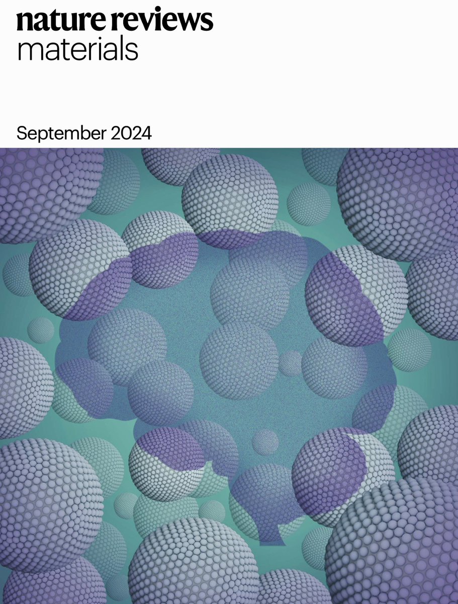 So happy to see our article about #glioma #nanovaccines on the Cover of <a href="/NatRevMater/">NatRevMaterials</a>, in collaboration with the amazing <a href="/FlaviaSousaSci/">Flávia Sousa</a>. Outstanding art design <a href="/Ella_Maru/">Ella Marushchenko</a>. Thank you so much to all the authors <a href="/nova_medschool/">NOVA Medical School</a>