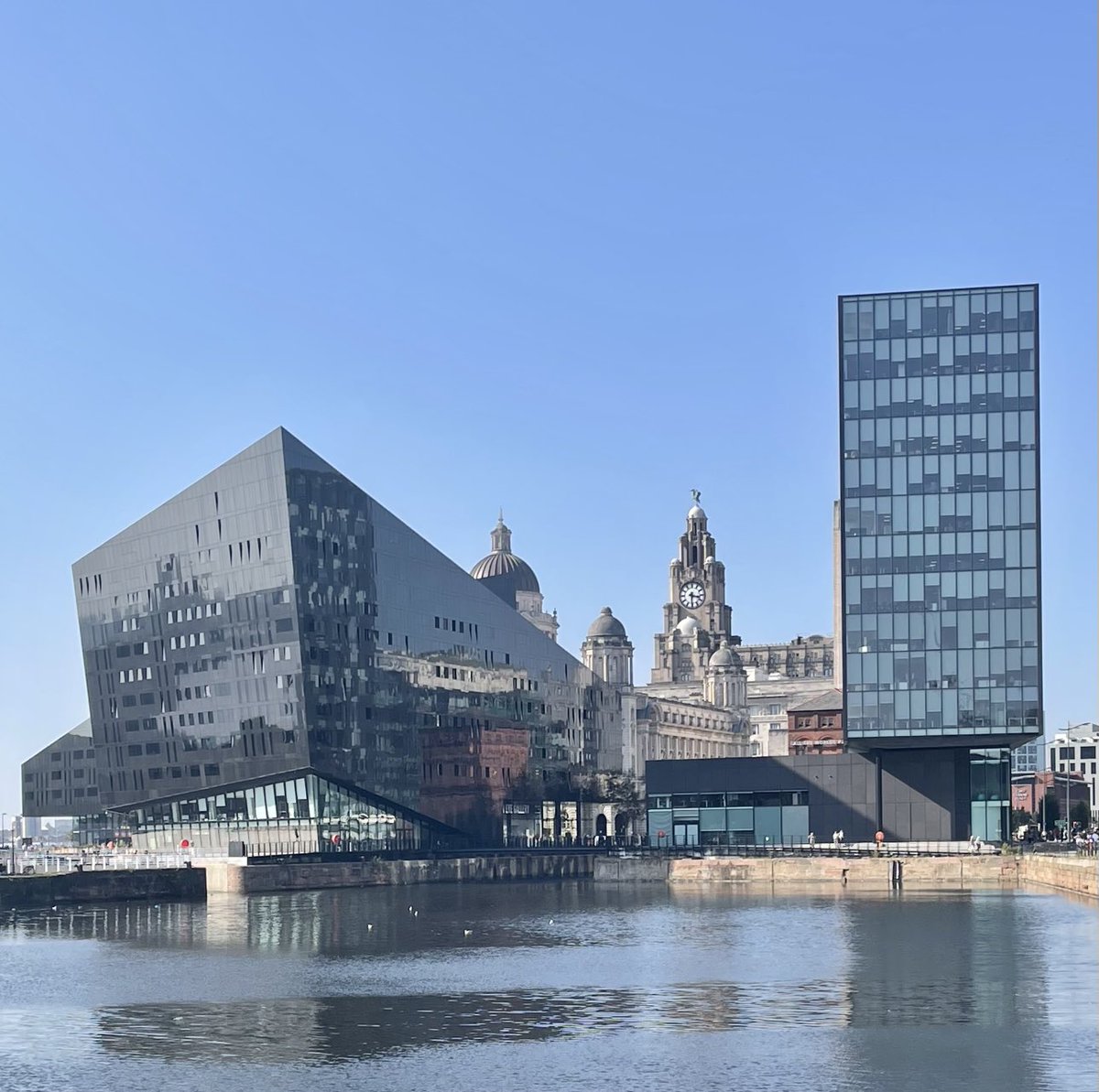 Steven Tones tweet media