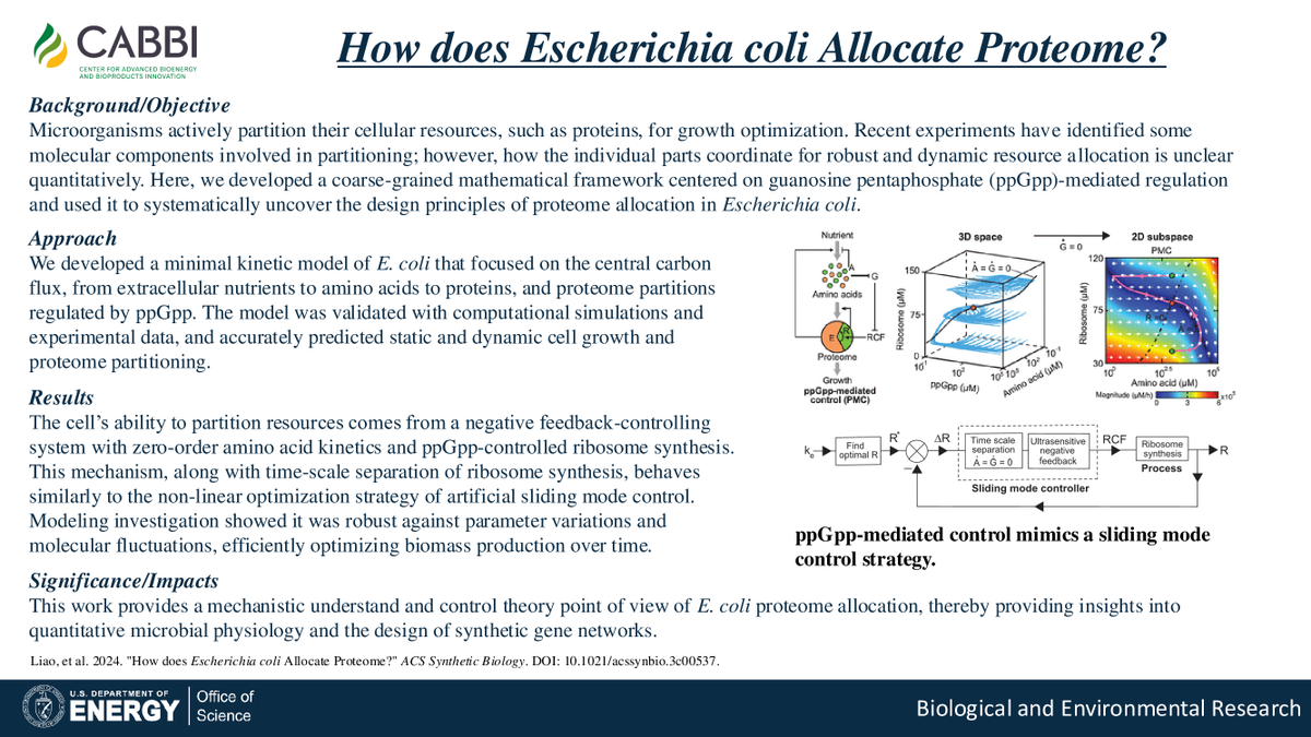 CABBI (@cabbibio) on Twitter photo A CABBI #Conversion team at <a href="/UofIllinois/">University of Illinois</a> developed a mathematical framework to explore proteome allocation in E. coli microorganisms, providing insights into quantitative microbial physiology and the design of synthetic gene networks.
📰 <a href="/ACSSynBio/">ACS Synthetic Bio</a>: pubs.acs.org/doi/10.1021/ac… A CABBI #Conversion team at <a href="/UofIllinois/">University of Illinois</a> developed a mathematical framework to explore proteome allocation in E. coli microorganisms, providing insights into quantitative microbial physiology and the design of synthetic gene networks.
📰 <a href="/ACSSynBio/">ACS Synthetic Bio</a>: pubs.acs.org/doi/10.1021/ac…