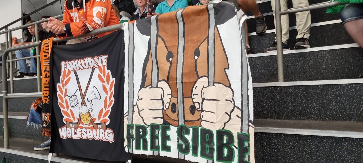 Free vildsvinet @siibbee1932