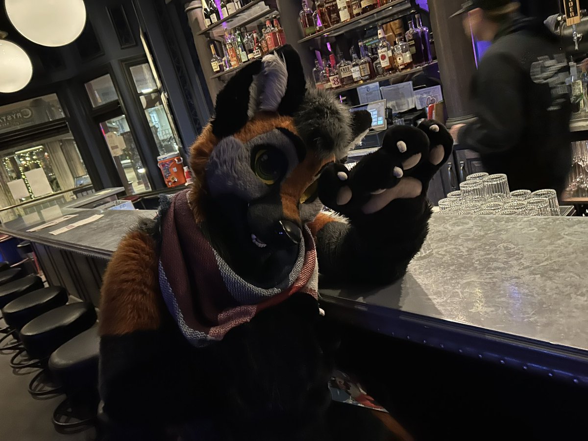 Had an absolute blast last weekend with <a href="/ArgusPounce/">Argus Pouncely🐾 ➡️ OW, FurEh?</a> and other furry friends old and new~ In Juneau Alaska!~ happy #FursuitFriday