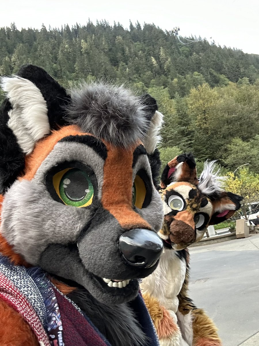 Nitroftraccoon's tweet photo. Had an absolute blast last weekend with @ArgusPounce and other furry friends old and new~ In Juneau Alaska!~ happy #FursuitFriday https://t.co/5qRnvyLMsC