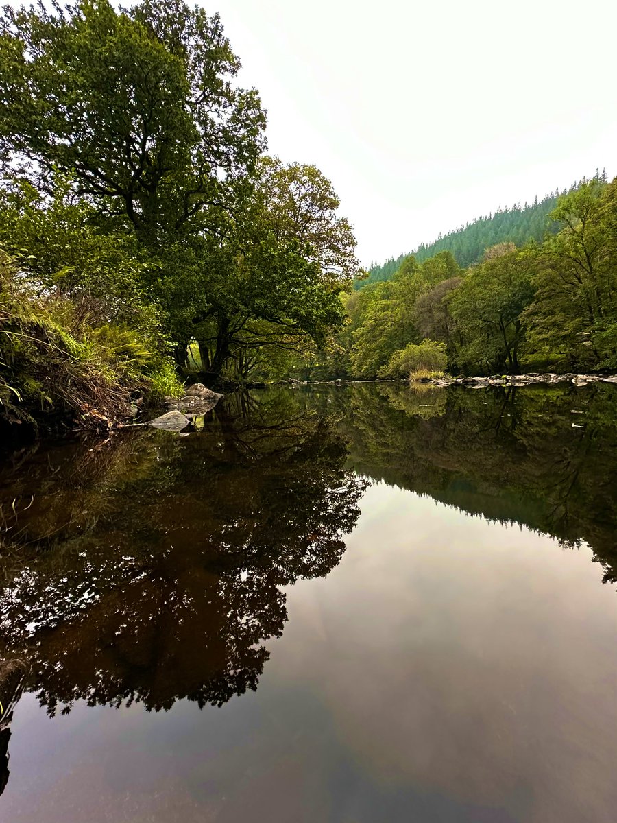 Morning reflections