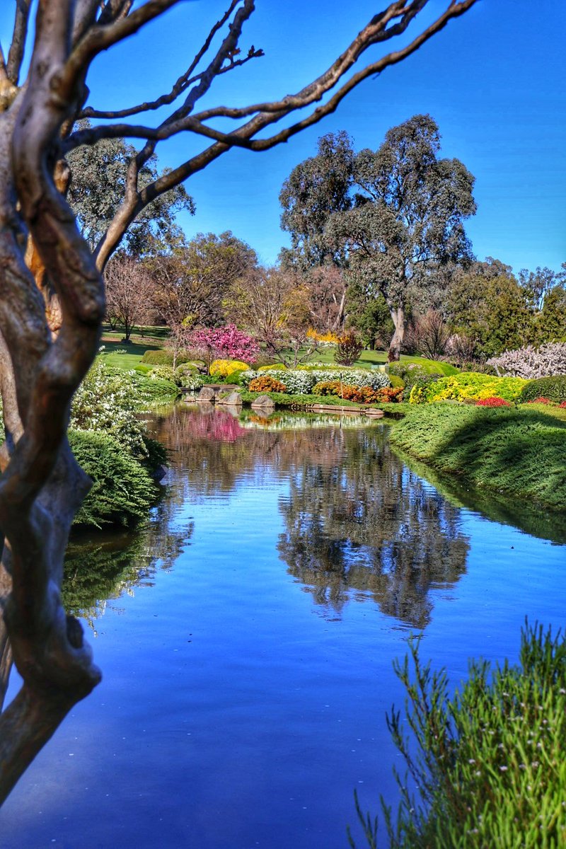 steve_outandabout (@steve_outabout) on Twitter photo 