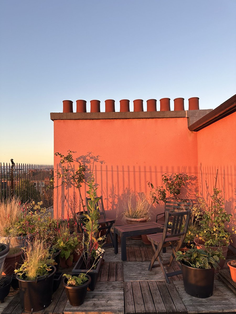 CampHillGate's tweet photo. You can come visit me today (Saturday) for @Glasgowdodf. Open 11-5, with tours during the day and a talk by the brilliant Fiona Sinclair at 1:30pm. There will also be tea, coffee &amp; cake available on my roof terrace &amp; music. (996 Pollokshaws Rd) https://t.co/sJsbO4U7h5
