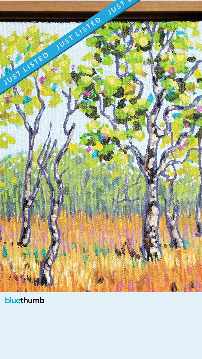 judiparkinson's tweet photo. Whispering Bush-land
This delightful little painting is created from a photo I took of the beautiful outback bush during my Kakadu trip.
https://t.co/INvNTksKDY
#outbackaustralia #trees #gumtrees #bushland #australianartist #art #homedecor #contemporaryimpressionist https://t.co/rZcIhi1PDx