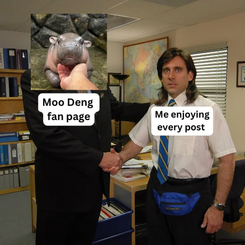 #moodeng