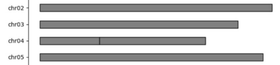 TJesse62's tweet image. -
 Nanopore LongReads 🧬 

    enable Telomere2Telomere

       Phased Genome Assemblies 

Thank you @nanopore !
@LongReadMaster 
#HERRO #T2T