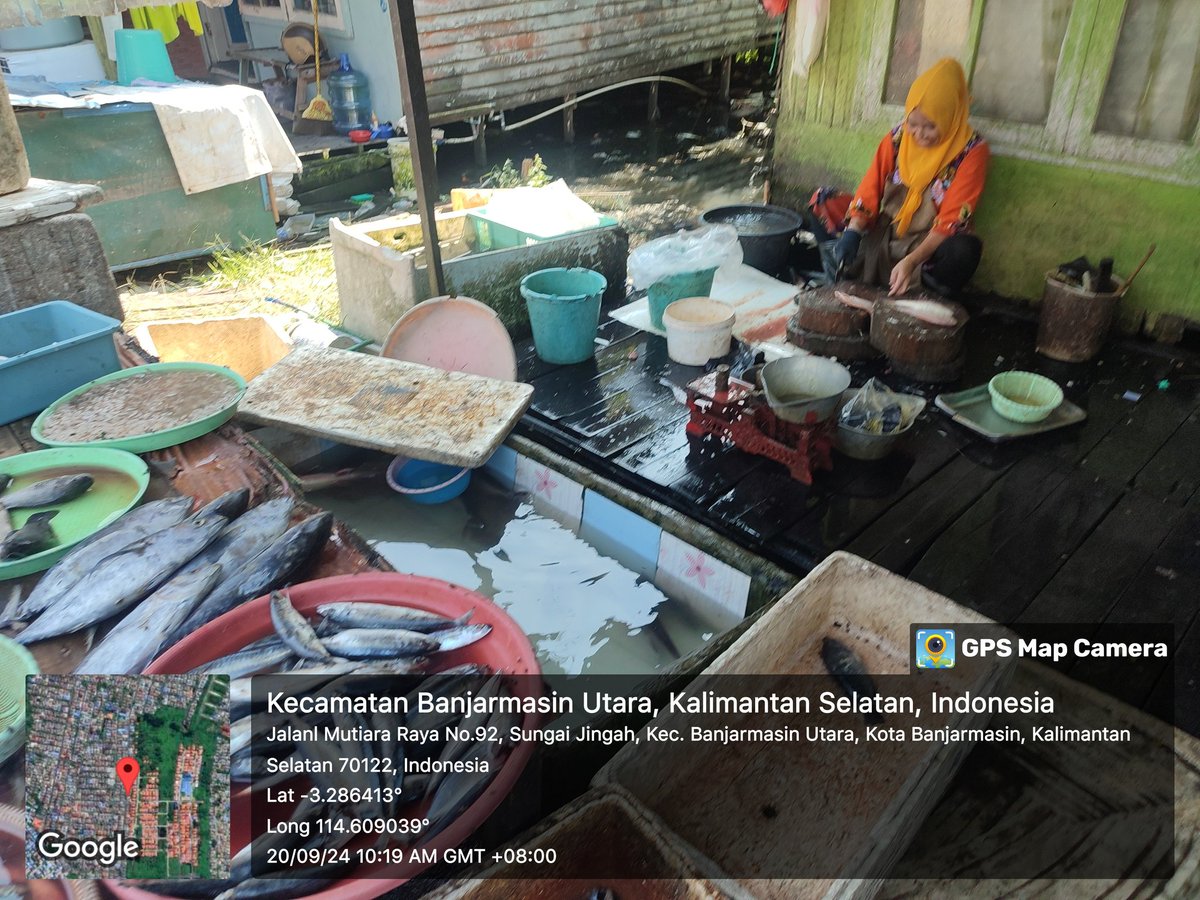 EKOPPB2016's tweet photo. Jum'at(20/9),Nur Hidayat, Luhkan Kota Banjarmasin, di Poklahsar Manuntung Sejahtera(Ibu wahidah), Jenis ikan laut segar(tongkol, kembung, lajang),ikan hidup patin dan nila, #GiatLuhkanSatminkalBWI #KtBjrmasin #Panen #Luhlapor https://t.co/qSizJQBapK