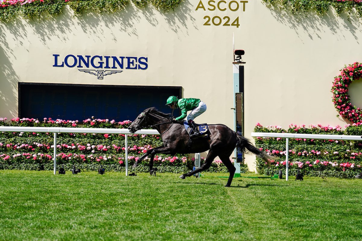 GBRI_UK's tweet photo. 2024 big race winners bred at @Tweenhills. 🥇

🦁 RUNNING LION (GB) - Gr.2 Duke Of Cambridge Stakes, Royal Ascot
👑 QUEEN OF THE PRIDE (GB) - Gr.2 Lancashire Oaks, Haydock
💯 NEW CENTURY (GB) - Gr.1 Summer Stakes, Canada
🐎 BUCKAROO (GB) - Gr.1 Underwood Stakes, Australia https://t.co/6X4tlH0CDK
