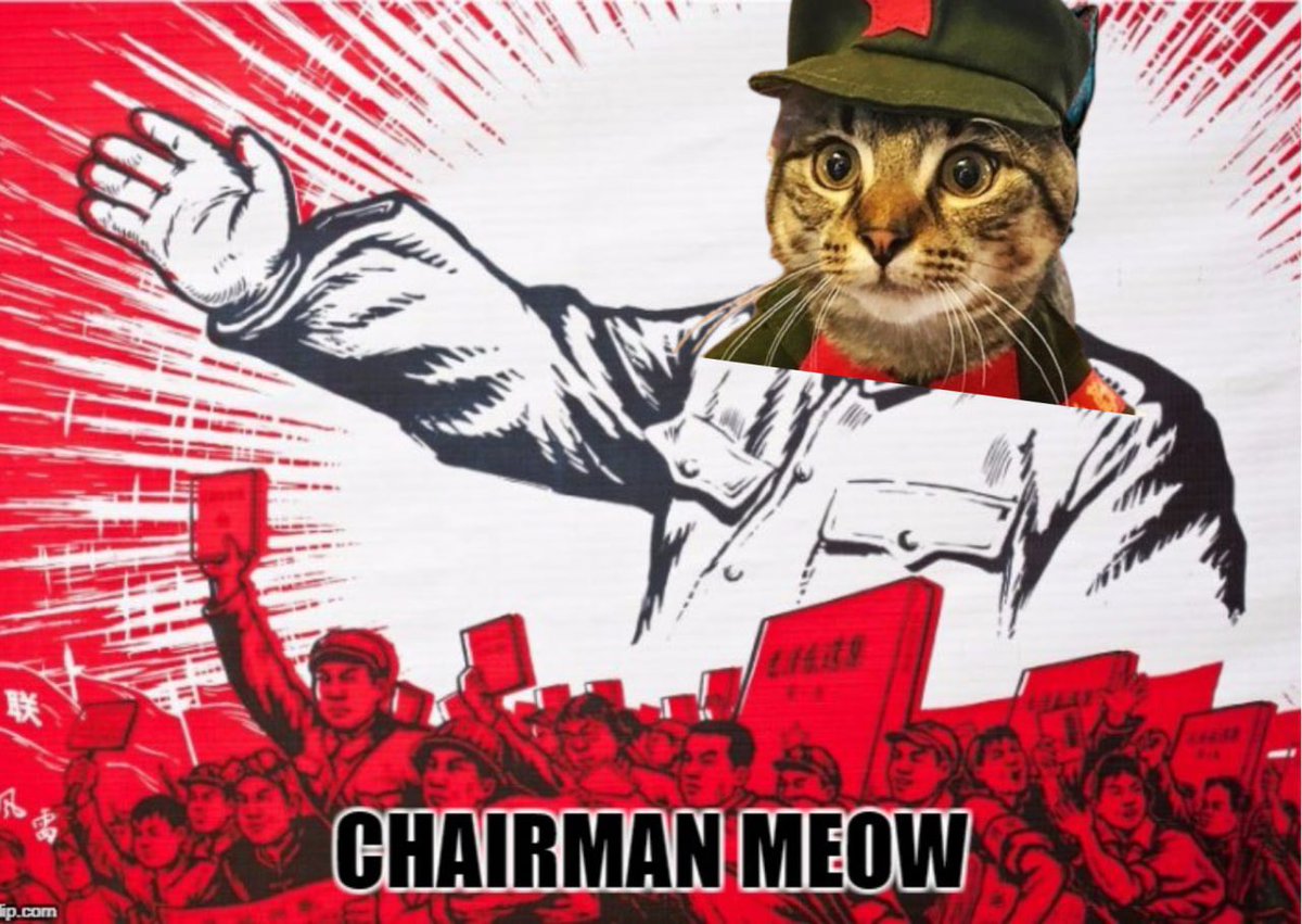 $CMEOW will surprise everyone soon 🚀