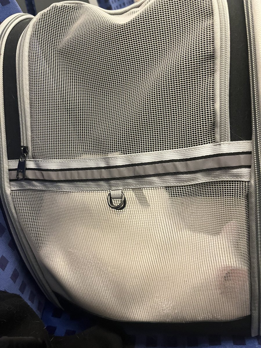 The Lyney travels have started! (He’s trying to sleep by now) 
So far understandably nervous but he’s getting calmer by the minute. Soon we’ll also be in the main train which is nicely quiet and no bumps during driving