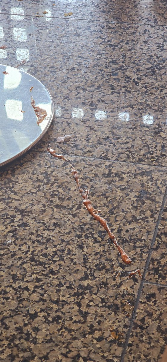 ManiarRupesh's tweet photo. @CSMIA_Official this is the condition of Mumbai international Airport https://t.co/CmkJFzy40l