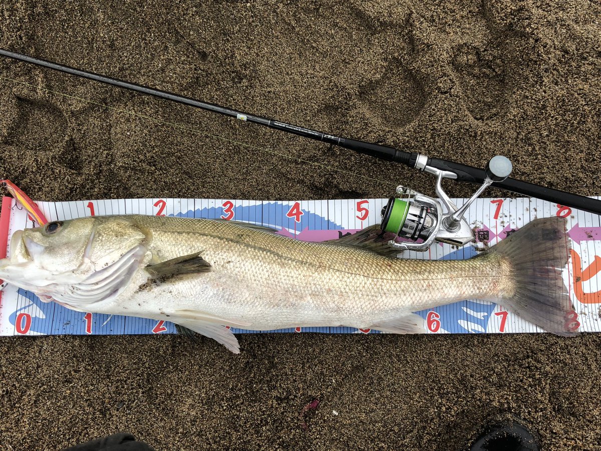 雨にも負けず風にも負けず