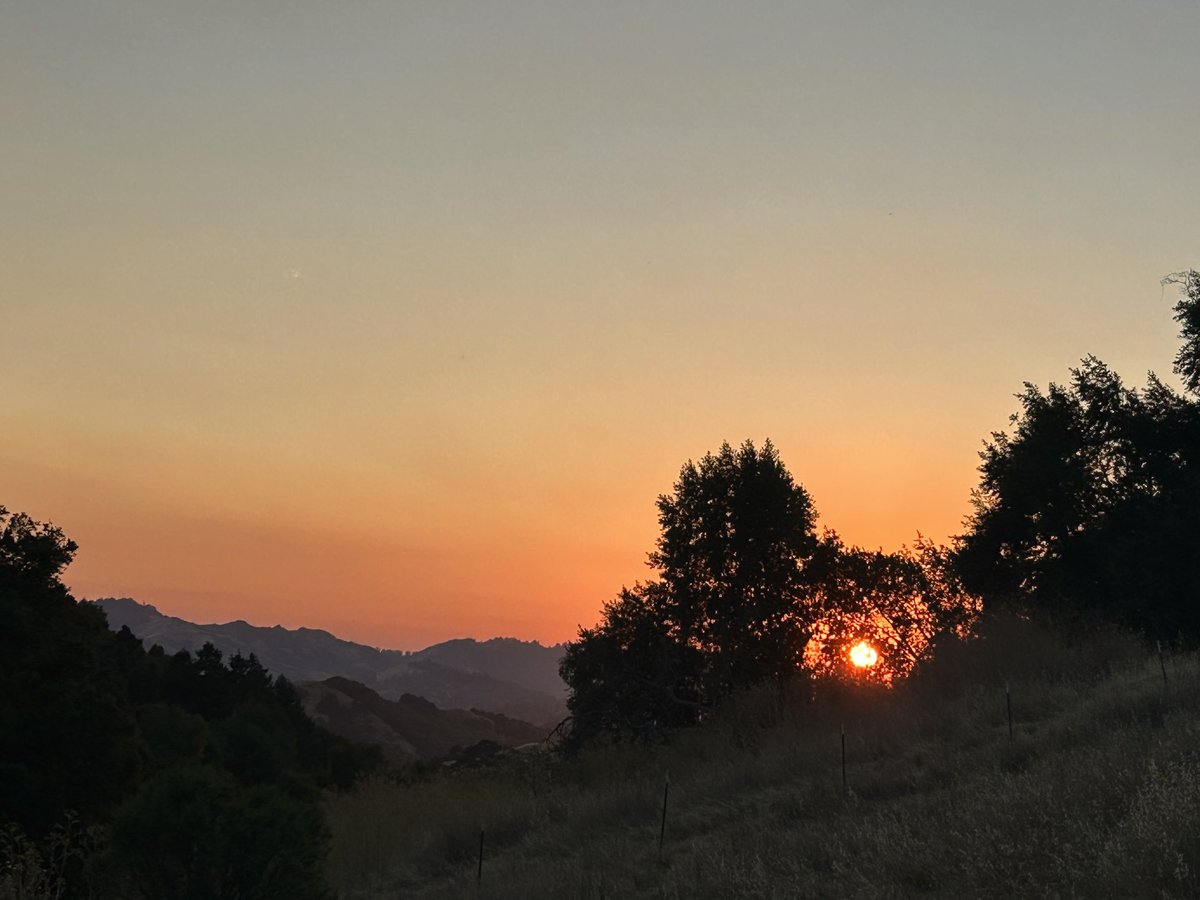 stuartkirsch's tweet image. Bless those who seek peace. #ShabbatShalom