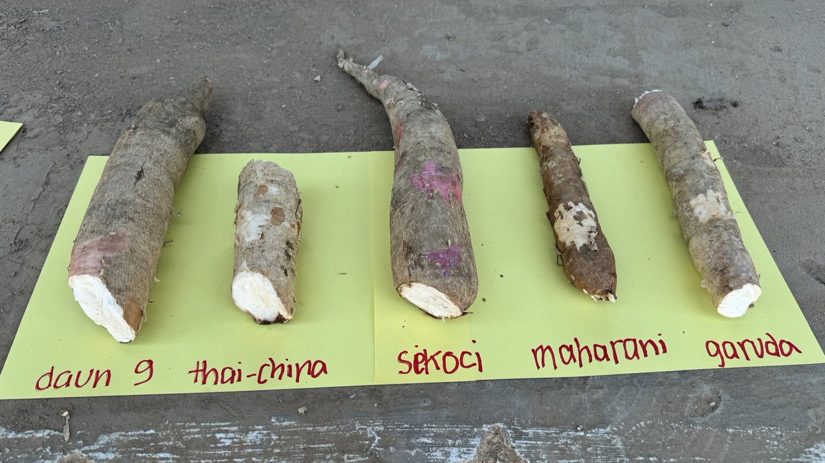 Jonathan Newby tweet media