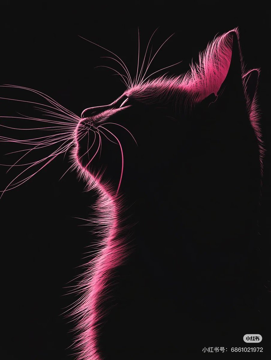 发现大家对比会议内容更关注美女，前两天关于Irene照片的事儿成了全网最大热点。的确这次参会发现业内美女多了不少，也是各个会场靓丽风景线。

那这样吧，抛开纯蹭圈子的币媛不提，大家来大声告诉我你们觉得币圈颜值最能打的几位美女是 ______?