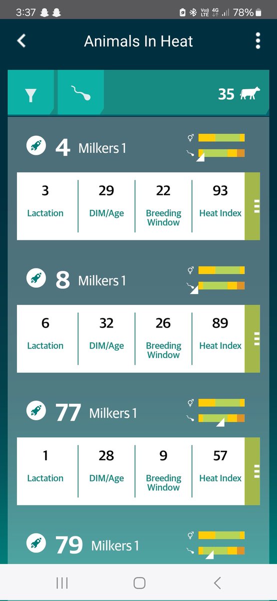 Amazing what a day of sun can do