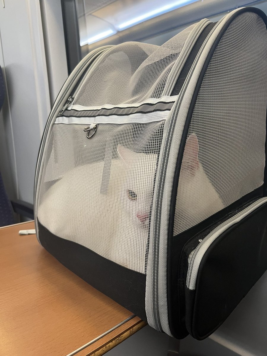 Our train seating got cancelled but thankfully they had some free seats still so grabbed one with a desk for the little mister