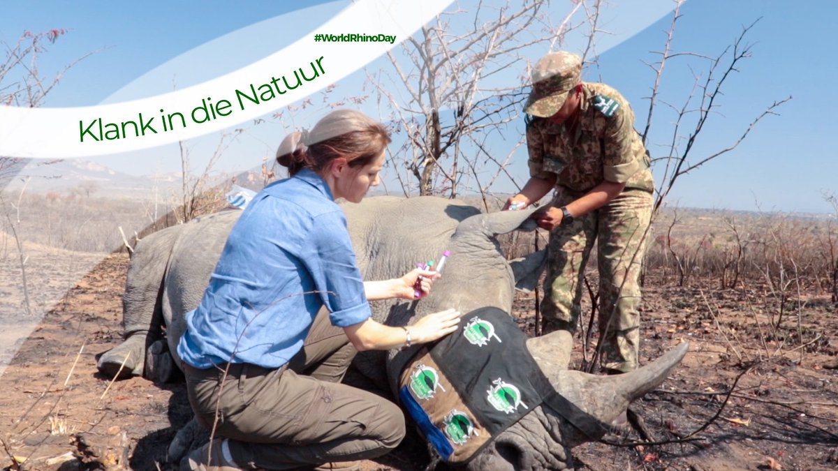 Dit is Saterdag wat beteken dit is tyd vir Klank in die Natuur op RSG om 06:45 (100-104 fm of aanlyn). 
Met Wêreldrenosterdag môre, gesels ek oor die onthoringing van renosters in die Krugerwildtuin, skets ’n prentjie van die huidige sistuasie en neem jou na Viëtnam waar ek om 'n